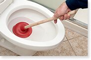 clogged toilet